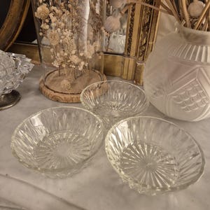 Peut inclure: Trois bols en verre transparent avec un motif radial sont disposés sur une surface en marbre. Une cloche en verre avec des fleurs séchées et un vase en verre dépoli avec des capsules de graines séchées sont en arrière-plan. Les bols sont probablement pour servir.