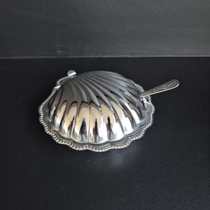 Peut inclure: Un plat argenté en forme de coquillage avec une cuillère assortie. Le plat présente un motif strié et un bord perlé. La cuillère repose sur le côté du plat. Le plat est sur une surface noire.
