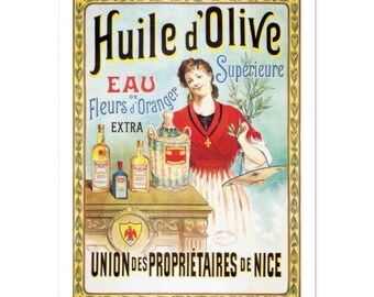 Illustration Olive Oil Union of Owners of Nice Old Advertising Vintage Decoration