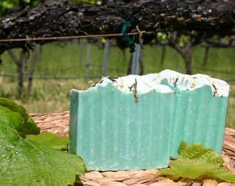 Lichaamszeep met dennengeur