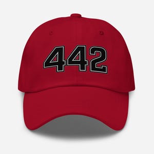May include: A red baseball cap with the number "442" in black, outlined in white. The hat has a curved brim and a rounded crown, typical of a baseball cap.