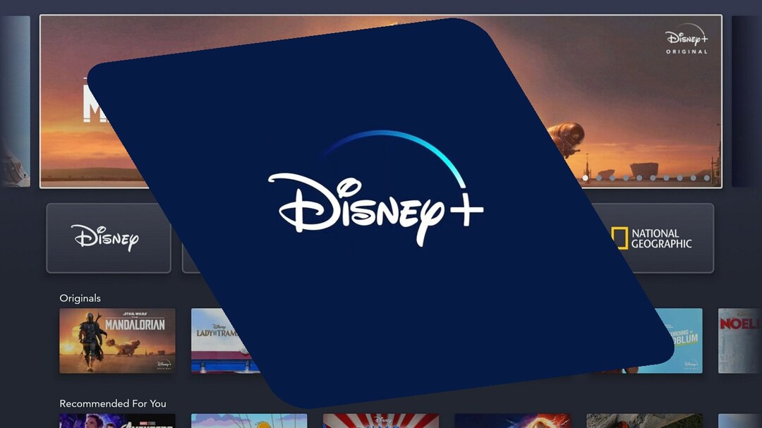 Read Description Disney Plus Premium for 12 Month Private Etsy