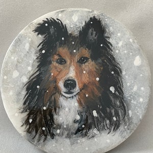 Beautiful dog in the snow