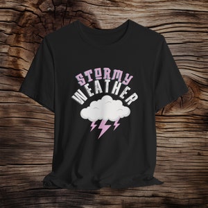 Snarky Stormy Daniels Tee | Hush Money Stormy Weather Trial Humor T Shirt | Funny Trendy Political Shirt | Shirt | Anti-Trump Feminist Gift