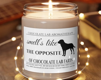 Chocolate Lab Gifts Candle Chocolate Lab lovers Dog Fart Candle Chocolate Lab Mom Chocolate Lab Dad Chocolate Lab Candle Funny Chocolate Lab