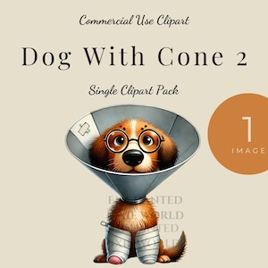 Dog with a Cone Clipart 2  – Adorable Veterinary-Themed Illustration Featuring Happy Pup with glasses with Cute Cone and Bandage, PNG Image