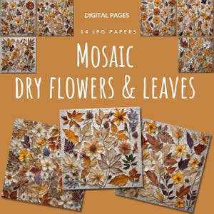 Collage digital de flores y hojas de prado seco, páginas de composición floral natural, encantador conjunto botánico de ilustraciones imprimibles, natural
