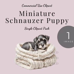 Clipart adorable chiot schnauzer nain - PNG de haute qualité de mignon bébé chien noir et blanc sur une couverture en tricot doux et confortable pour des projets d'artisanat