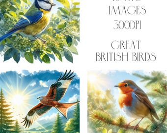 British Birds Clipart, 40 PNG Images, Commercial Use (Digital Download)