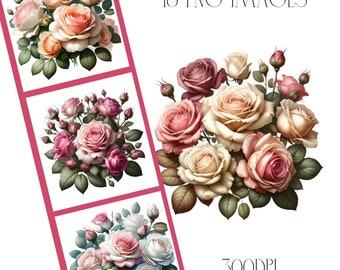 Watercolor Roses Clipart, Floral PNG Images (Digital Download)