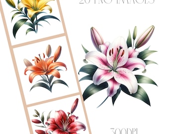 Watercolor Lily Clipart, Floral PNG Images (Digital Download)