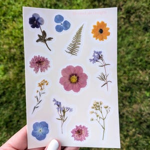 Stickerbogen mit gepressten Blumen, Geschenk für Sie, Gänseblümchen, Sommer