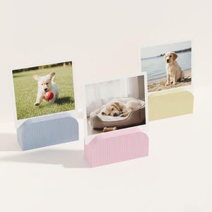 Könnte beinhalten: Drei Fotorahmen in Pastellfarben, blau, rosa und gelb, die jeweils ein Foto eines Golden Retriever-Welpen zeigen. Die Halterungen haben ein geripptes Design. Die Fotos zeigen die Welpen in verschiedenen Umgebungen.