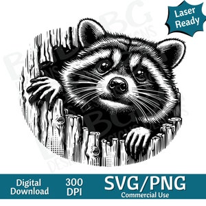 Raton laveur sortant la tête du trou SVG PNG, vie à la ferme, comté, image vectorielle, graveur laser, cnc, clipart, prêt pour le laser, planches à découper