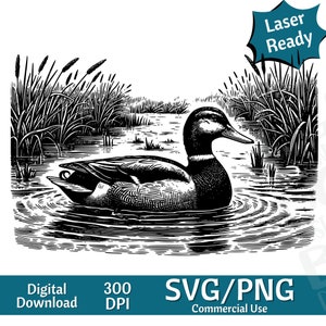 Pato Mallard en Marsh SVG PNG, diseño gráfico vectorial corte impresión cnc archivos digitales Clip Art silueta