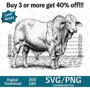 May include: A detailed black and white illustration of a bull in a field, with a barbed wire fence. The image includes the text "Buy 3 or more get 40% off!!!", "Laser Ready", "Digital Download", "300 DPI", and "SVG/PNG Commercial Use".