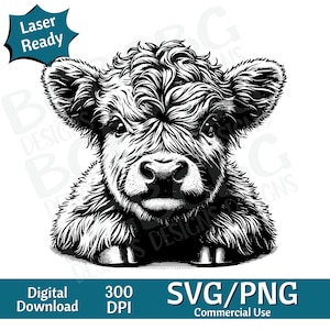 赤ちゃんハイランド牛 SVG、ハイランド牛 SVG、牛の頭 SVG、牛の頭、牛の顔 png、ベクター グラフィック、レーザー彫刻機、CNC、クリップ アート