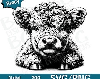 Baby Highland Cow SVG, Highland Cow SVG, Cow Head SVG, cow head, Cow Face png, vector graphic, laser engraver, cnc, Clip art