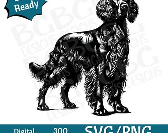 Pode incluir: Silhueta preta e branca de um Gordon Setter em pé com a cabeça erguida. O cão está de frente com o rabo enroscado atrás das patas. A imagem é adequada para uso como download digital para projetos de artesanato.