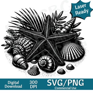 Zeesterren en schelpen SVG PNG, Oceaan SVG vectorafbeelding, lasergraveur, CNC, illustraties, laser klaar, snijplanken, gepersonaliseerd cadeau
