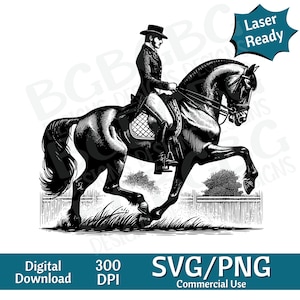 Tennessee Walker SVG PNG, Rodeo, Paardrijden PNG, vectorafbeelding, gesneden print, CNC, digitale bestanden, illustraties, silhouet, laser klaar ontwerp