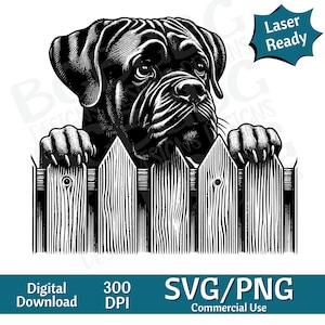 May include: Black and white illustration of a dog peeking over a wooden fence. The dog has a serious expression and is looking to the right. The fence is made of vertical wooden planks.