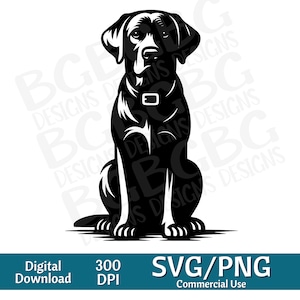 May include: Black and white silhouette of a Labrador Retriever dog sitting with its ears perked up. The dog is facing forward and has a collar on. The image is set against a white background.