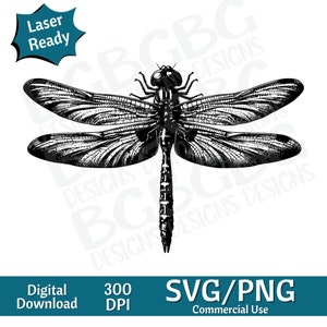 Dragonfly SVG PNG, grafica vettoriale, incisore laser, cnc, Clip art, pronto per il laser, taglieri, regali personalizzati