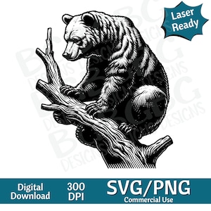 Bear in Tree SVG PNG, Grizzly SVG, vector graphic, laser engraver, cnc, Clip art, laser ready, cutting boards,  Personalized Gifts