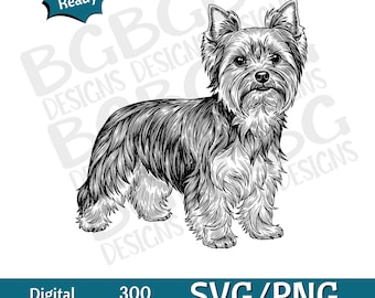 Puede incluir: Ilustración en blanco y negro de un perro Yorkshire Terrier. La imagen incluye el texto "Laser Ready", "Digital Download", "300 DPI" y "SVG/PNG Commercial Use".