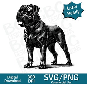 Könnte beinhalten: Schwarz-weiß-Illustration eines Hundes einer großen Rasse, der mit dem Kopf zur Seite gedreht steht. Der Hund blickt auf die linke Seite des Bildes. Der Hund steht mit leicht gebeugten Vorderbeinen. Der Schwanz des Hundes ist hinter seinen Beinen eingerollt. Der Hund ist schwarz umrandet und der Hintergrund ist weiß.