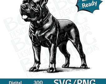 Peut inclure: Illustration en noir et blanc d'un chien de grande race debout, la tête tournée sur le côté. Le chien fait face au côté gauche de l'image. Le chien est en position debout, les pattes avant légèrement pliées. La queue du chien est enroulée derrière ses pattes. Le chien est dessiné en noir et le fond est blanc.
