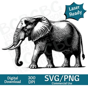 Elefante de cuerpo completo SVG PNG, gráfico vectorial, grabador láser, cnc, Clip art, listo para láser, tablas de cortar, regalos personalizados