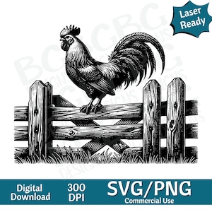 Coq sur clôture SVG PNG, vie à la ferme, comté, graphique vectoriel, graveur laser, cnc, clipart, prêt pour le laser, planches à découper, cadeaux personnalisés