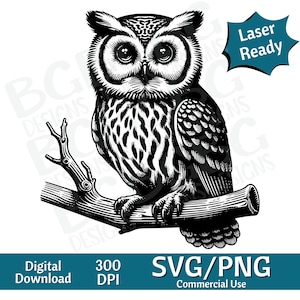 Hoot Eule auf Zweig SVG PNG, Vektorgrafik, Lasergravur, cnc, Clip Art, Laser bereit, Schneidebretter, personalisierte Geschenke