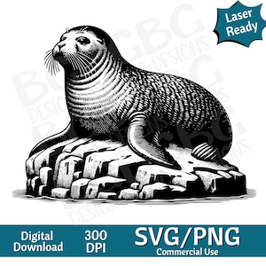 Sceau sur rocher SVG PNG, illustration vectorielle océan svg, graveur laser, cnc, clipart, prêt pour le laser, planches à découper, cadeau personnalisé