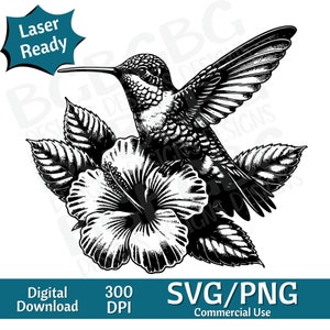Kolibri und Hibiskus SVG PNG, Vektorgrafik, Lasergravur, CNC, Clip Art, Laser bereit, Schneidebretter, personalisierte Geschenke