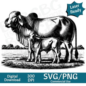 ブラフマン牛と子牛のペア SVG、動物のクリップアート、かわいい動物、農場、ベクター グラフィック、レーザー彫刻機、4 時間、デジタル ダウンロード、牛 SVG、農場 png