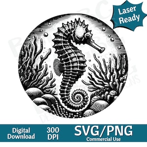 Caballito de mar y arrecife SVG PNG, gráfico vectorial Ocean svg, grabador láser, cnc, Clip art, listo para láser, tablas de cortar, regalo personalizado