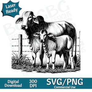 Brahmane vache et veau paire SVG, clipart animaux, animal mignon, ferme, image vectorielle, graveur laser, 4 h, téléchargement numérique, vache svg, png de la ferme