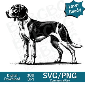 May include: Black and white illustration of a dog in a standing pose. The dog has a long snout and floppy ears. The image includes the text "Laser Ready", "Digital Download", "300 DPI", and "SVG/PNG Commercial Use".