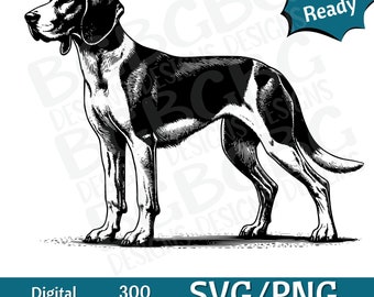 May include: Black and white illustration of a dog in a standing pose. The dog has a long snout and floppy ears. The image includes the text "Laser Ready", "Digital Download", "300 DPI", and "SVG/PNG Commercial Use".