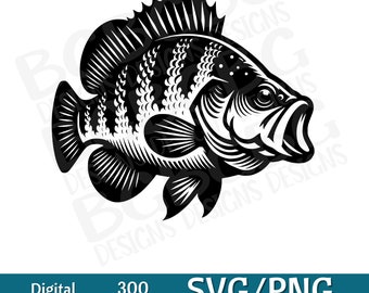 Crappie SVG, White Perch SVG, Sac-a-lait SVG, svg, png, vector graphic, laser engraver, cnc, Clip art,