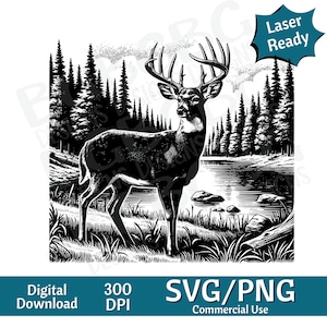 Puede incluir: Ilustración en blanco y negro de un ciervo de pie en un bosque junto a un lago. El ciervo tiene grandes cuernos y mira hacia la izquierda. El bosque está formado por altos pinos. El lago está tranquilo y refleja los árboles.
