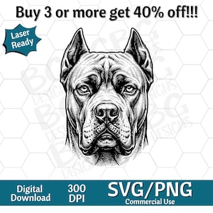 Könnte beinhalten: Eine schwarz-weiße digitale Illustration eines Cane Corso Hundekopfes mit spitzen Ohren. Das Bild enthält den Text Buy 3 or more get 40% off, Laser Ready, Digital Download, 300 DPI und SVG/PNG Commercial Use.