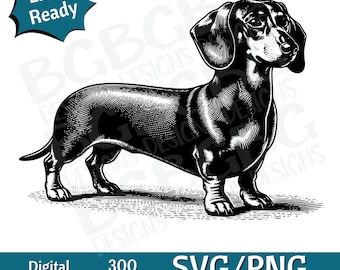 May include: Black and white illustration of a dachshund standing on a textured surface. The image is suitable for use in digital projects and crafts.