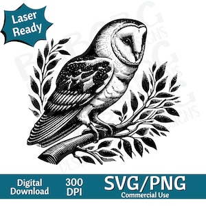 Chouette effraie des cloches sur une branche SVG PNG, illustration vectorielle, graveur laser, cnc, clipart, prêt pour le laser, planches à découper, cadeaux personnalisés