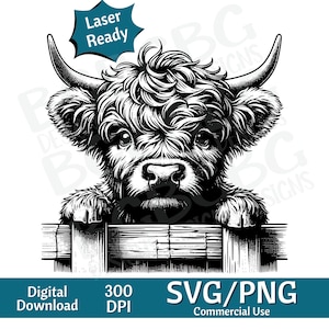 Baby Highland Cow gluren SVG, Highland Cow SVG, koe hoofd SVG, koe hoofd, koe gezicht png, vectorafbeelding, lasergraveur, cnc, illustraties