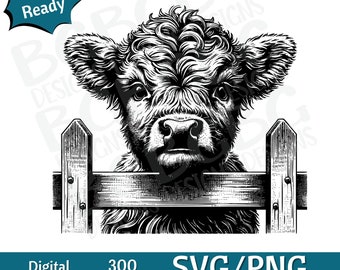Baby Highland Cow Peeking SVG, Highland Cow SVG, Cow Head SVG, cow head, Cow Face png, vector graphic, laser engraver, cnc, Clip art