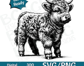 Baby Highland Cow SVG, Highland Cow SVG, Cow Head SVG, cow head, Cow Face png, vector graphic, laser engraver, cnc, Clip art